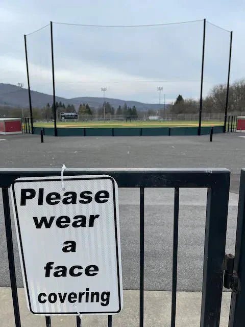 Take Me Back to the Ballpark - Returning to the Stadium After Covid-19: Part 1 - Stadium Vagabond