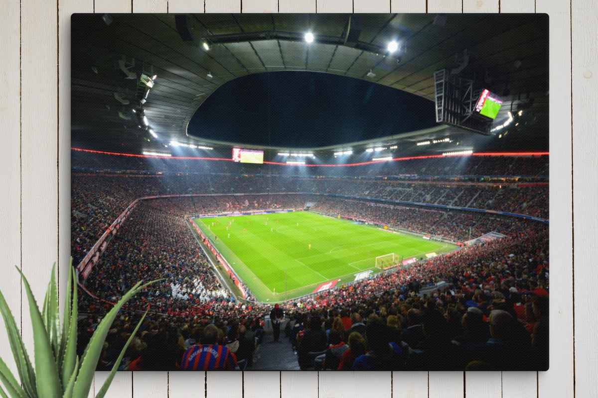 Canvas - Stadium Vagabond