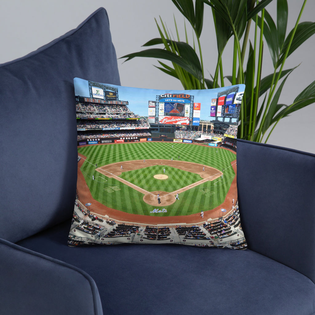 House Divided - New York Yankees and New York Mets - Stadium Vagabond