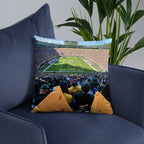 House - Divided Chicago Bears and Green Bay Packers Pillow - Stadium Vagabond
