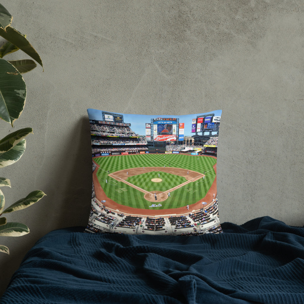 House Divided - New York Yankees and New York Mets - Stadium Vagabond