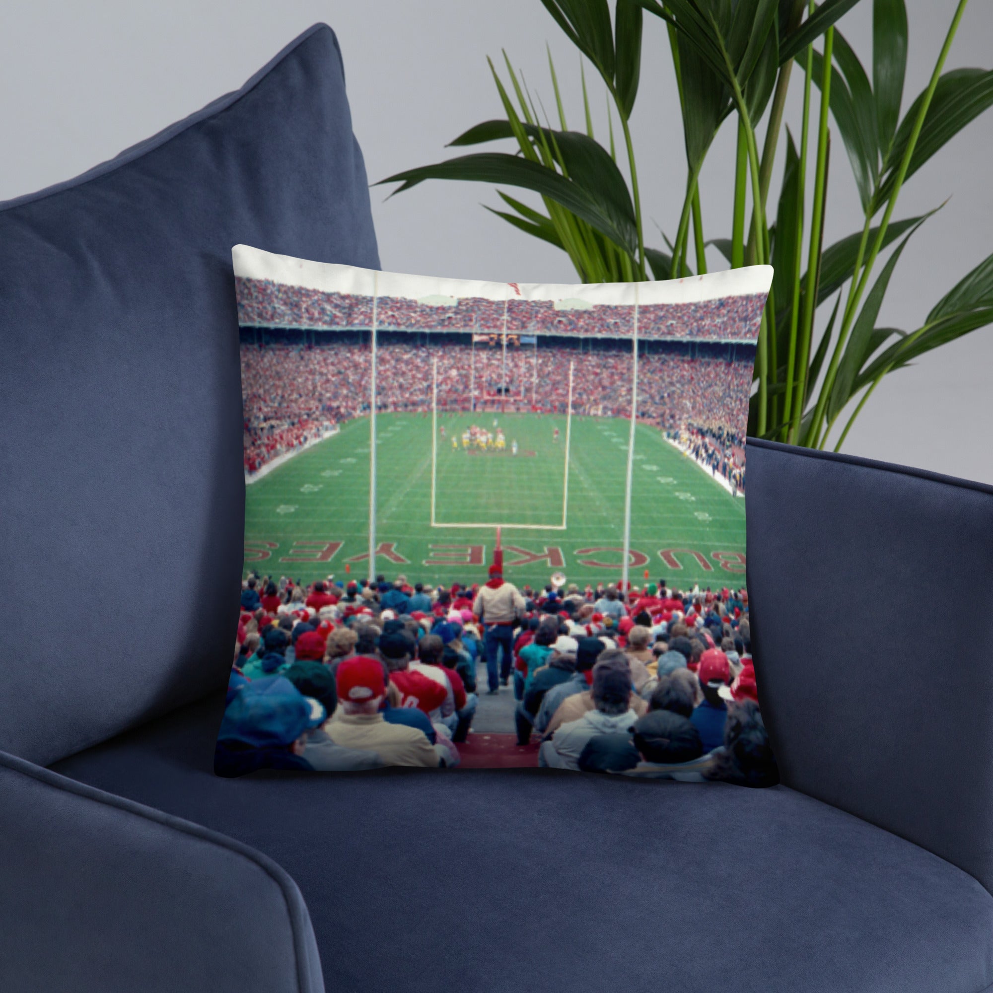 Ohio State Buckeye Pillow - 30 Years Later - Stadium Vagabond