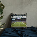 Detroit Lions Double - Sided Pillow - Pontiac Silverdome and Ford Field - Stadium Vagabond