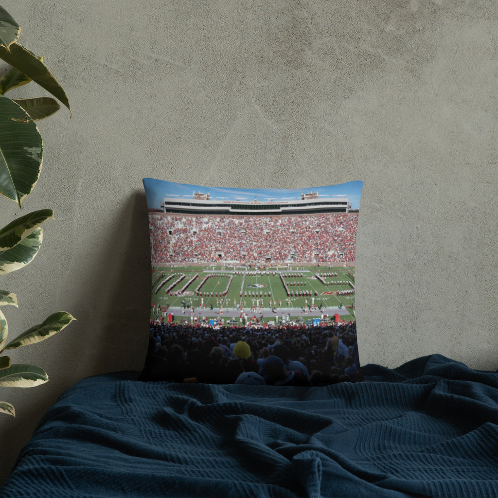 Florida State Noles Pillow - Stadium Vagabond