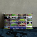 Stadiums of the 2026 World Cup Pillow - Stadium Vagabond