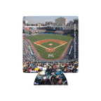 New York Yankee Koozie - Stadium Vagabond