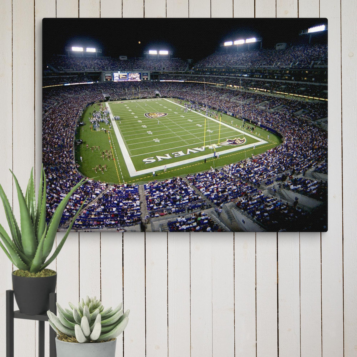 Baltimore Ravens Canvas - Stadium Vagabond