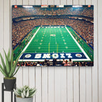 Detroit Lions Pontiac Silverdome Canvas - Stadium Vagabond