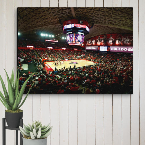 Georgia Bulldogs Basketball Canvas - Stadium Vagabond