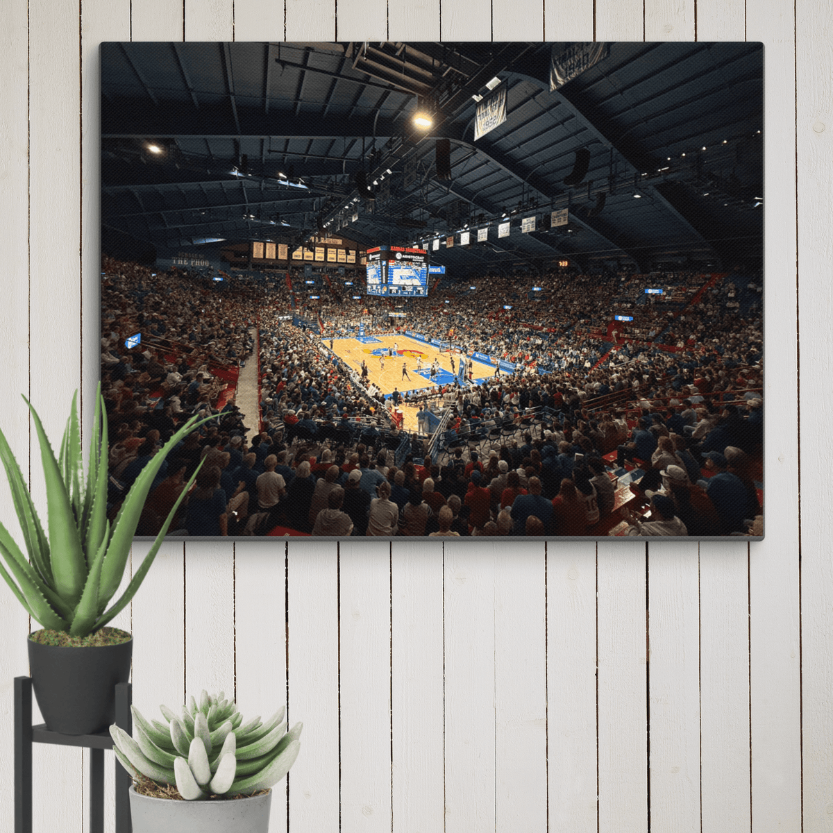 Kansas Jayhawks Canvas - Stadium Vagabond