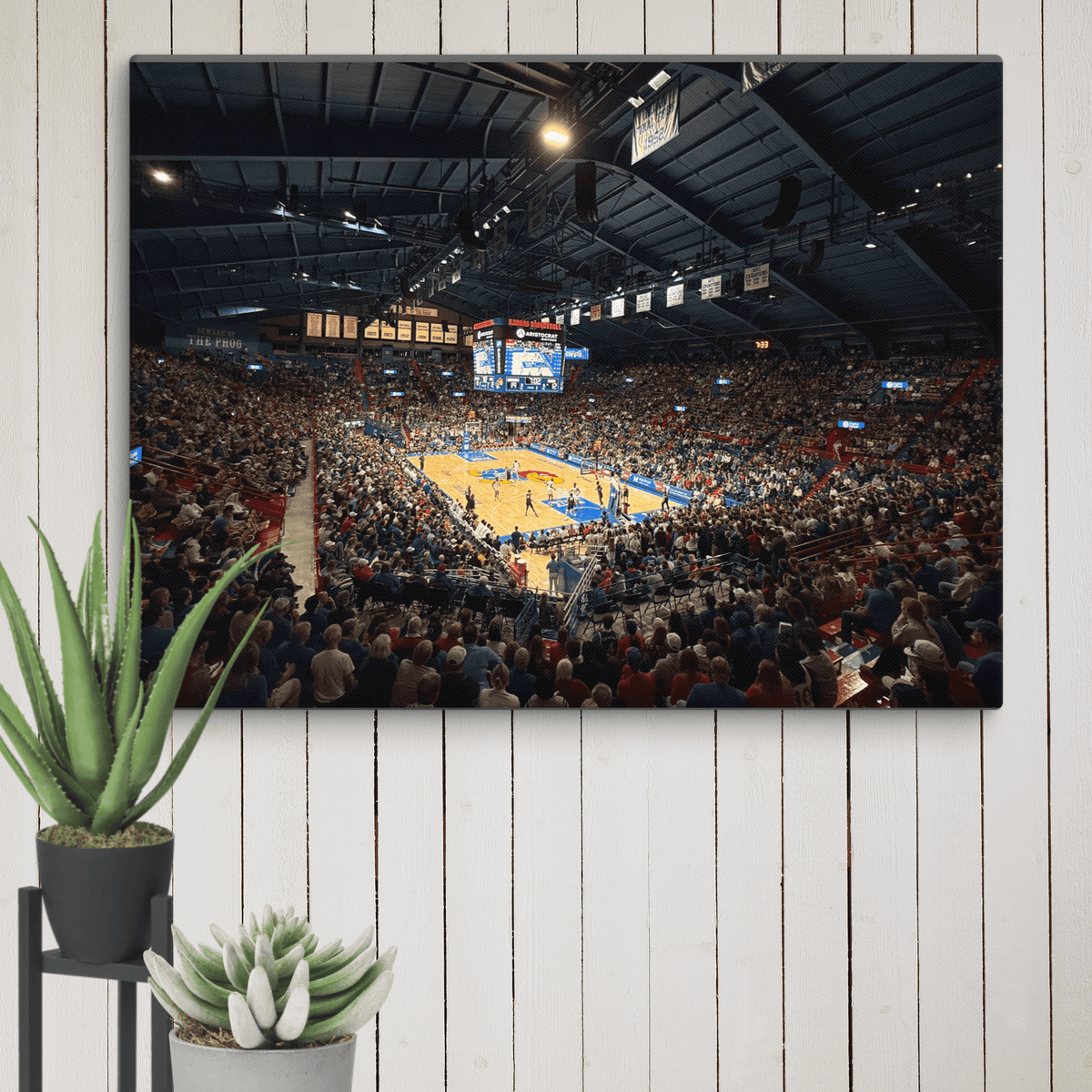 Kansas Jayhawks Canvas - Stadium Vagabond