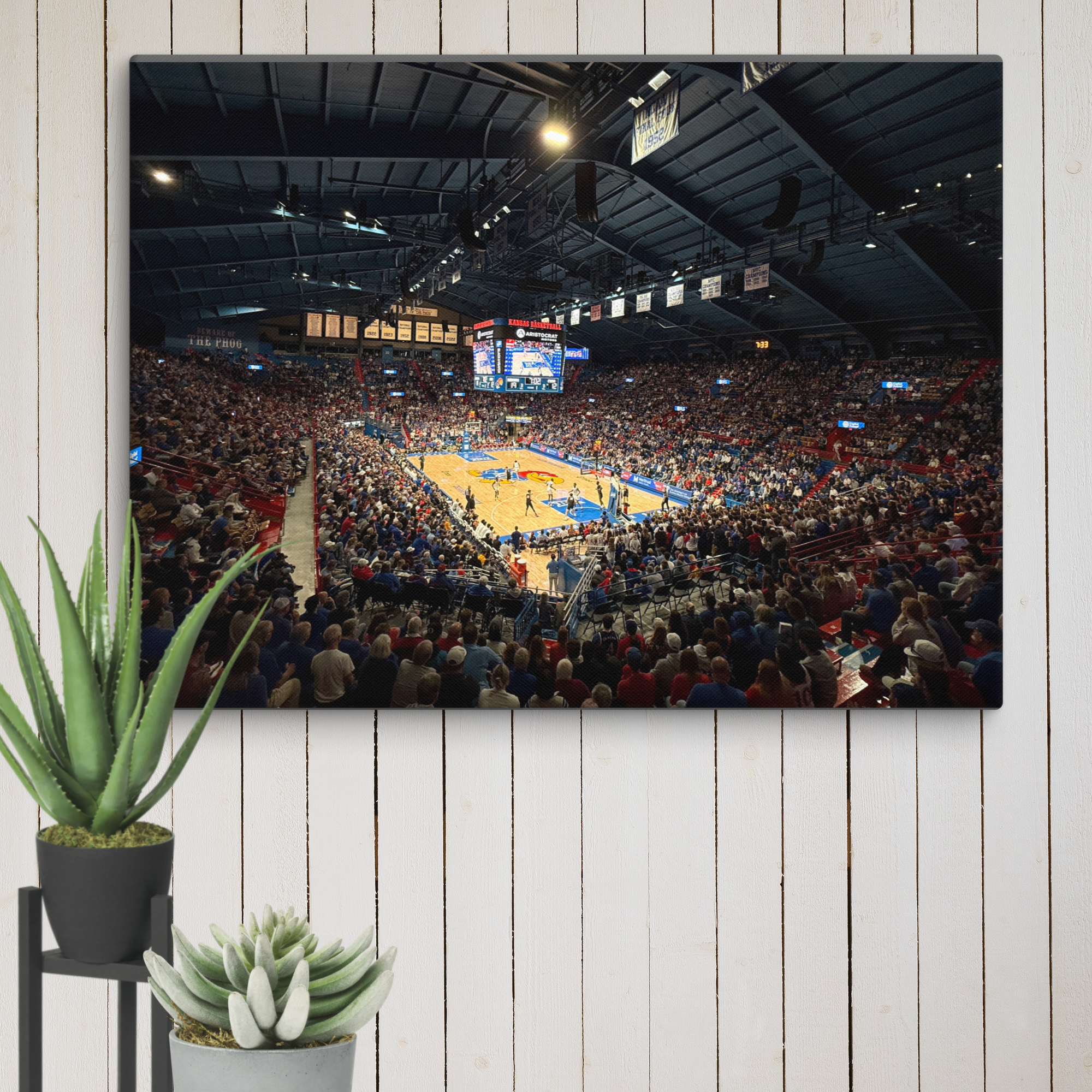 Kansas Jayhawks Canvas