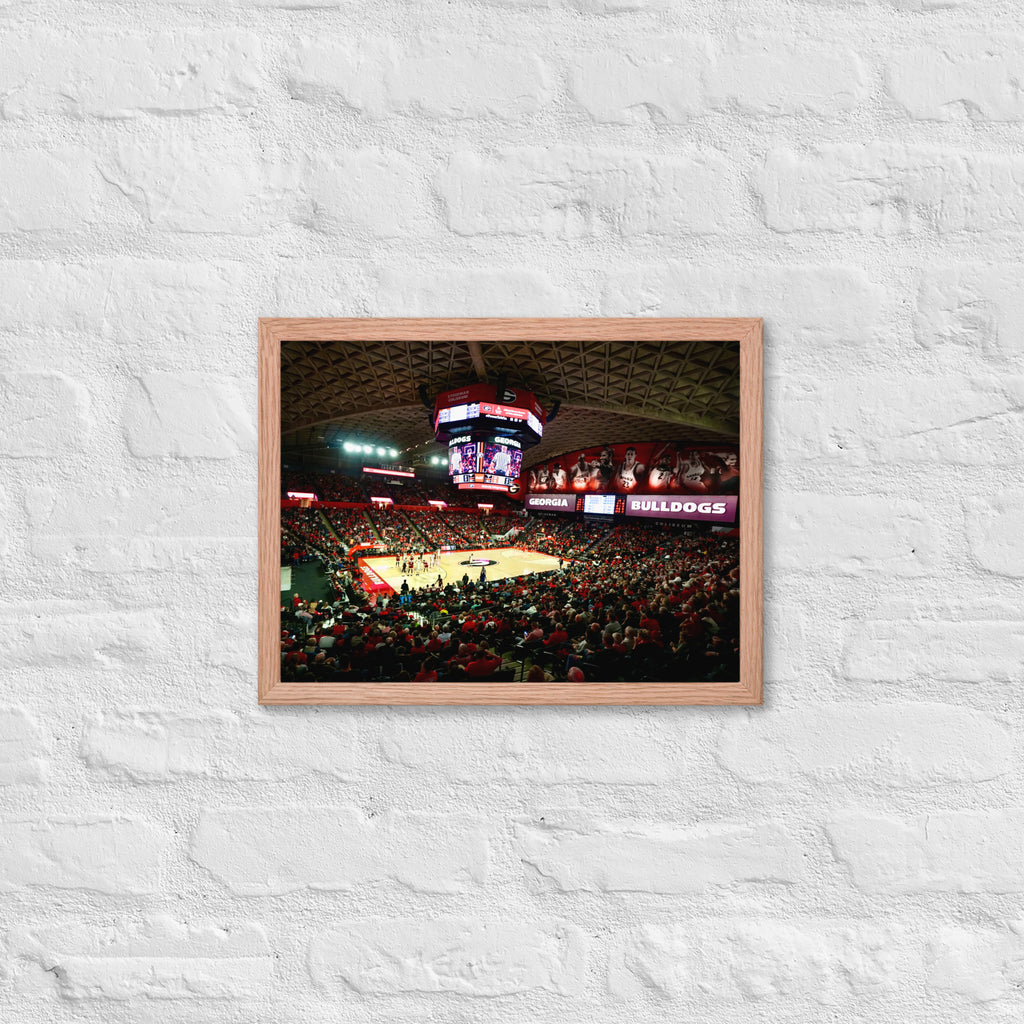 Georgia Bulldogs Basketball Framed poster - Stadium Vagabond