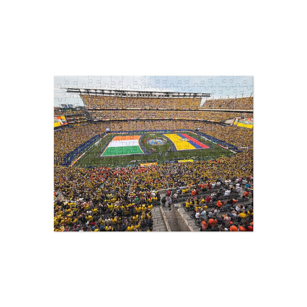 Ecuador vs. Ivory Coast 2026 World Cup puzzle - Stadium Vagabond