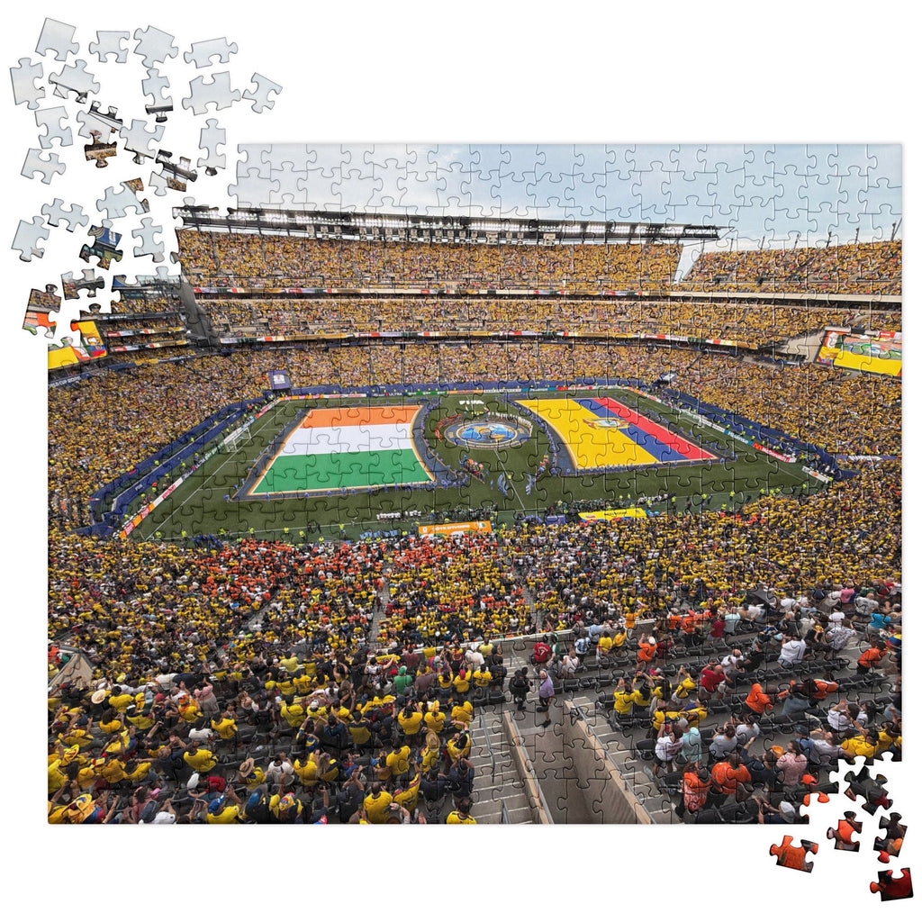 Ecuador vs. Ivory Coast 2026 World Cup puzzle - Stadium Vagabond